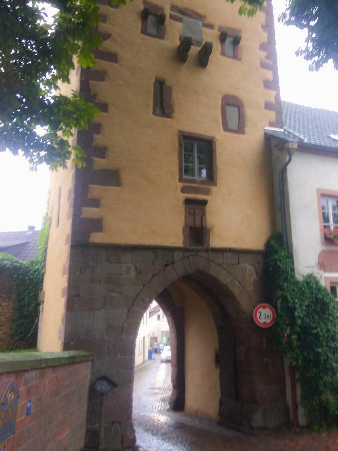 Living-In-History: Heidi Braun Cottage ドゥーデルドルフ エクステリア 写真